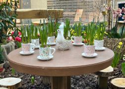 Fruehling In Der Goethe Galerie  Februar 2026 08